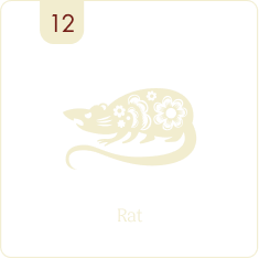 Rat