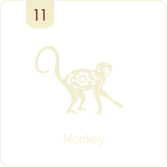 Monkey